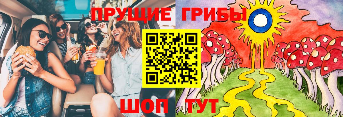 Галлюциногенные грибы Psilocybine cubensis  Галлюциногенные грибы Psilocybe  Великий Новгород  Вход с VPN 